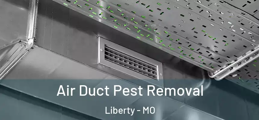 Air Duct Pest Removal Liberty - MO