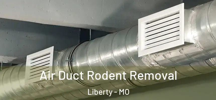 Air Duct Rodent Removal Liberty - MO