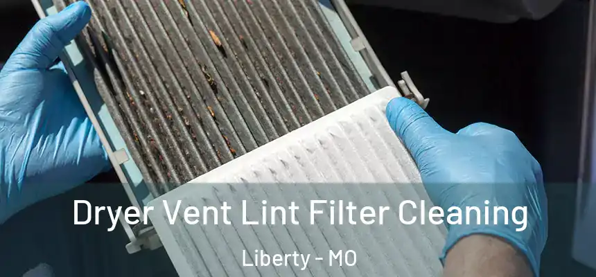Dryer Vent Lint Filter Cleaning Liberty - MO