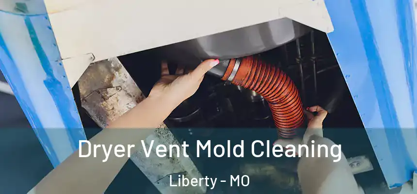  Dryer Vent Mold Cleaning Liberty - MO