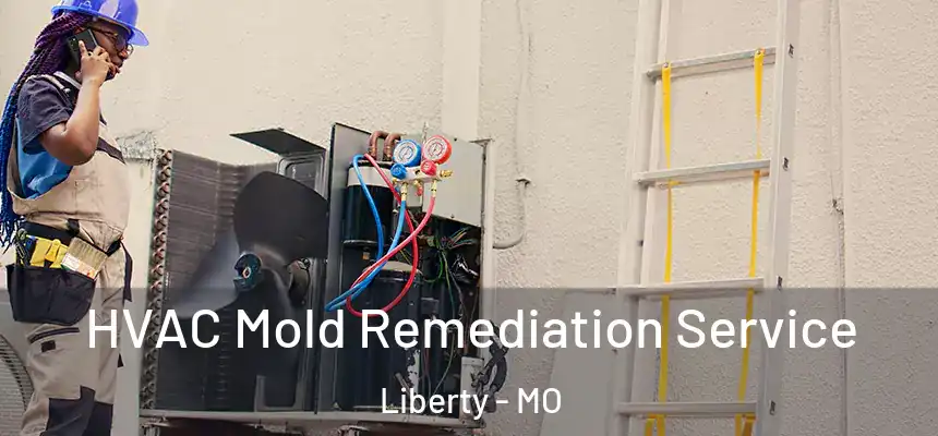 HVAC Mold Remediation Service Liberty - MO