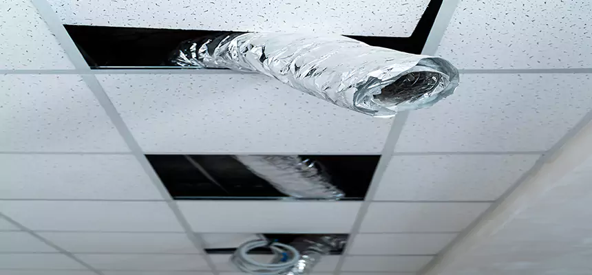 Affordable HVAC Sanitizing After Pest Removal in Liberty