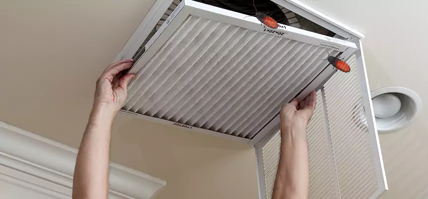 Our Insect Removal from Air Ducts Services in Liberty, MO