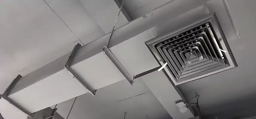 Our Pest Removal From Ducts Services in Liberty, MO