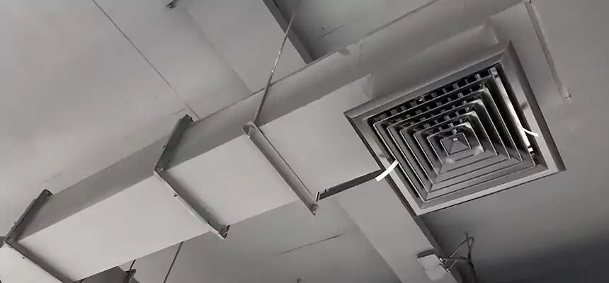 Our Rodent Droppings In Vents Services in Liberty, MO