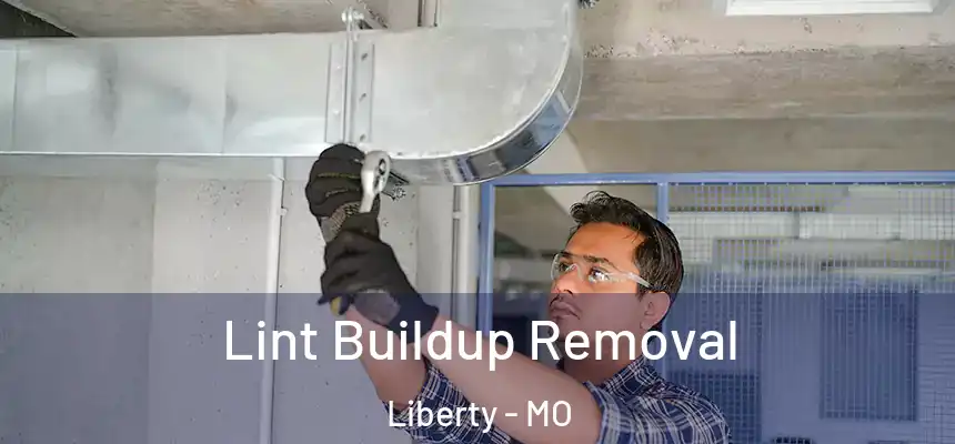  Lint Buildup Removal Liberty - MO