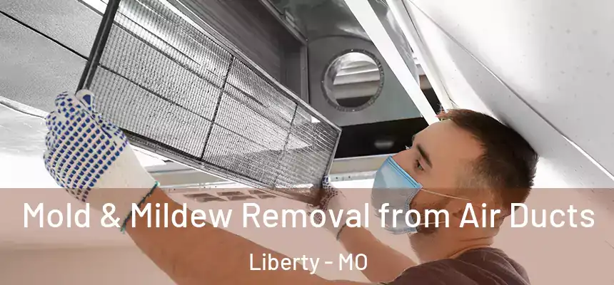 Mold & Mildew Removal from Air Ducts Liberty - MO