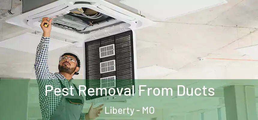  Pest Removal From Ducts Liberty - MO