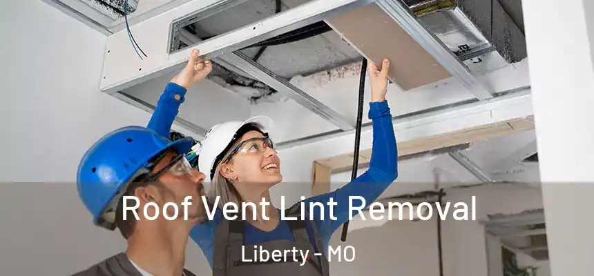  Roof Vent Lint Removal Liberty - MO