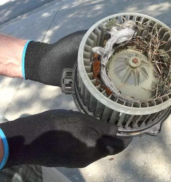 About Air Duct Mice Removal in Liberty, MO