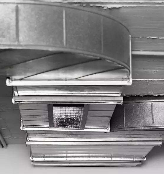 Professional Air Duct Pest Removal in Liberty, MO