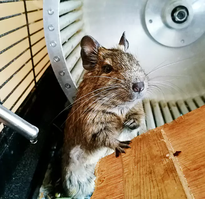 Why Homeowners & Businesses Trust Us Liberty, MO?