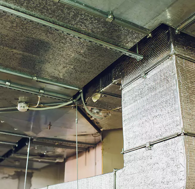 Why Homeowners & Businesses Trust Us in Liberty, MO?